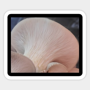 Oyster Mushroom Gills3 Sticker